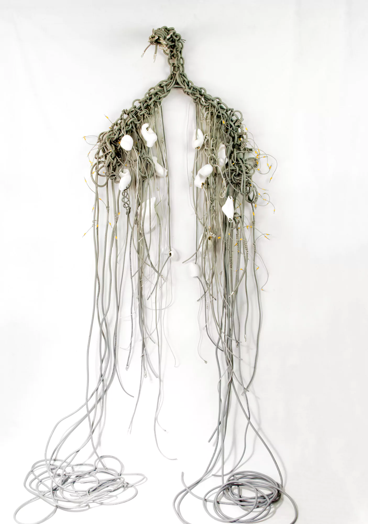 Filtros de sangre / Blood filters