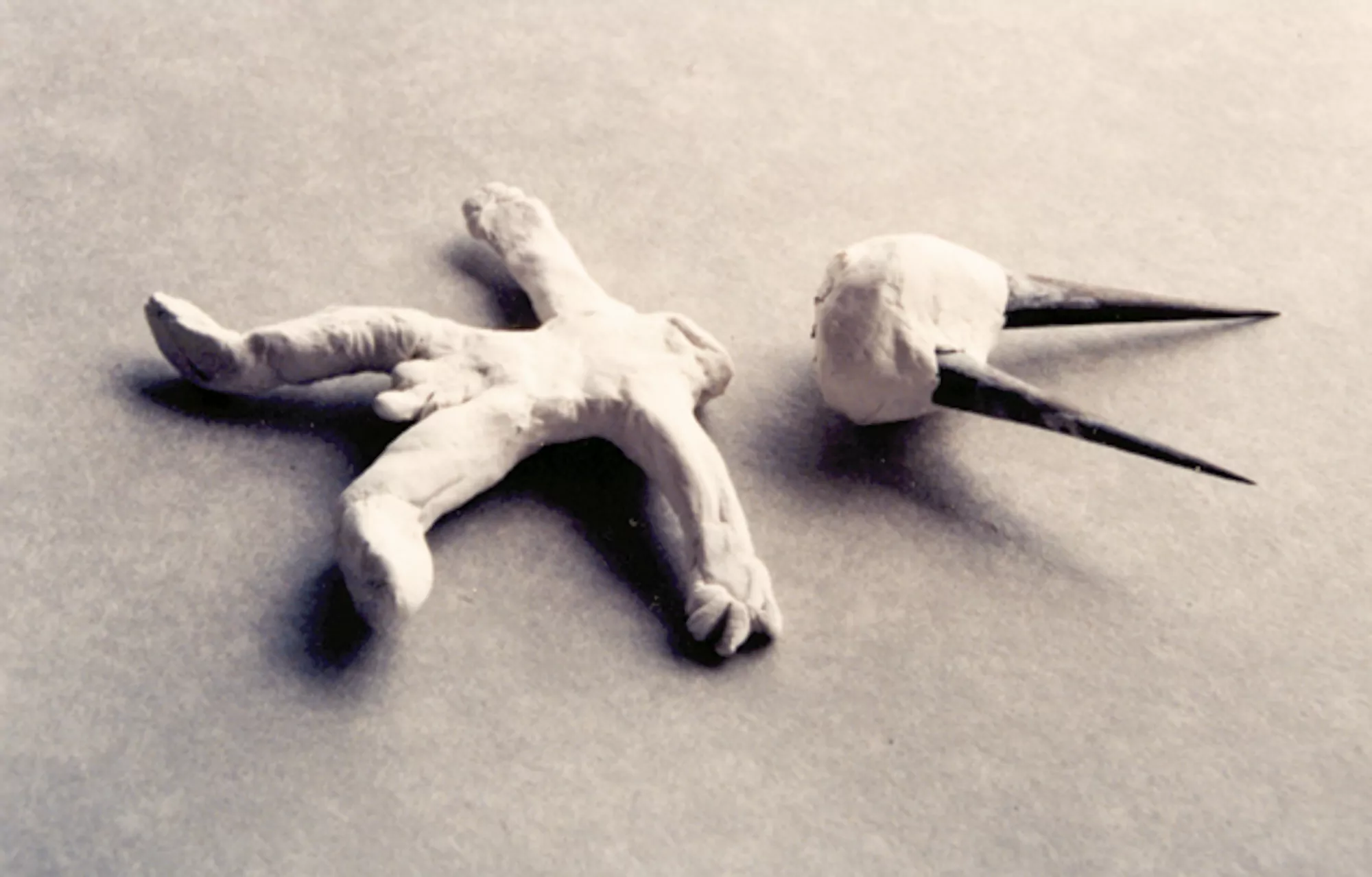 Demonio decapitado / Headless demon