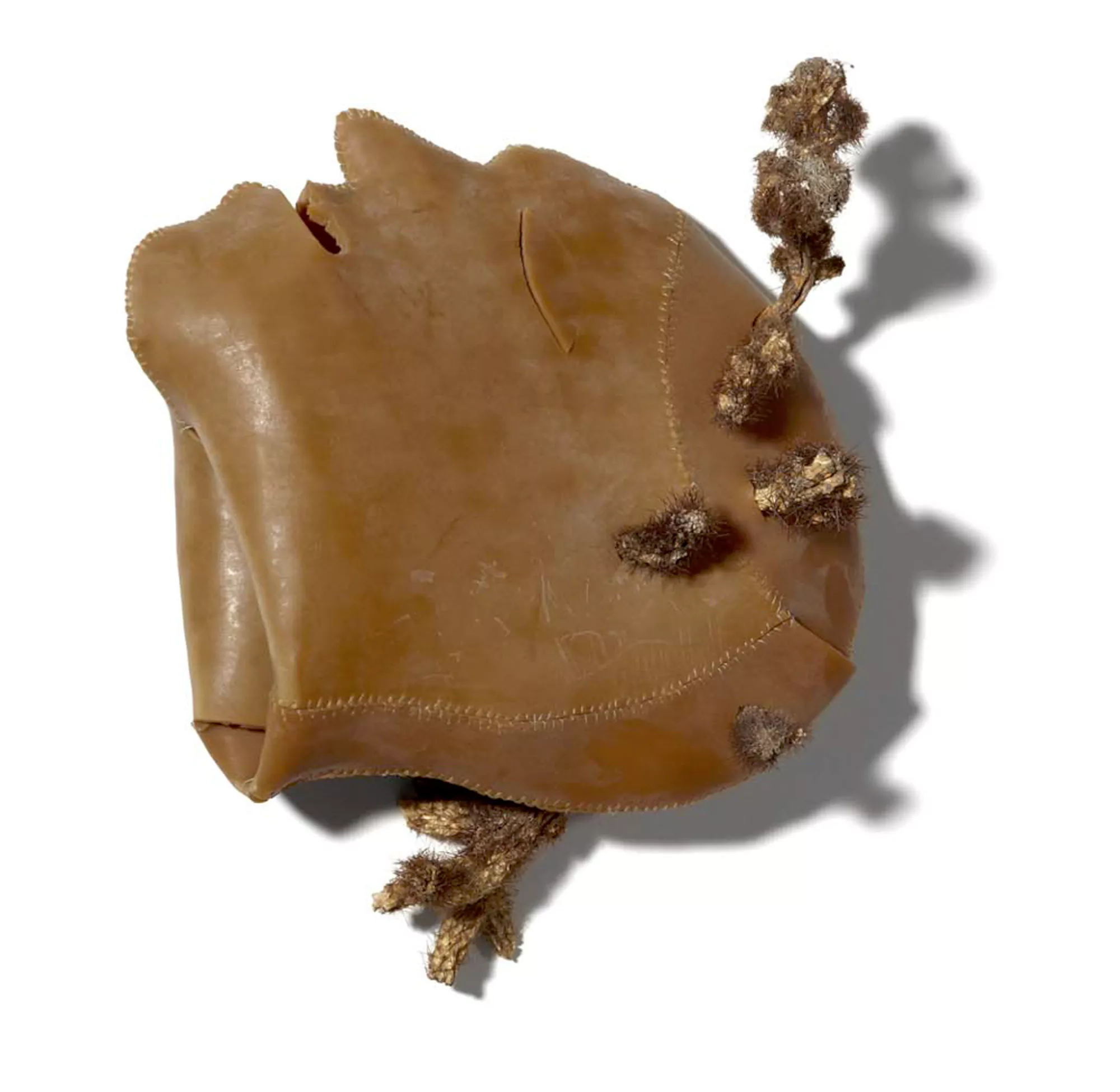 Cabeza-piel de Medusa / Medusa’s skin head