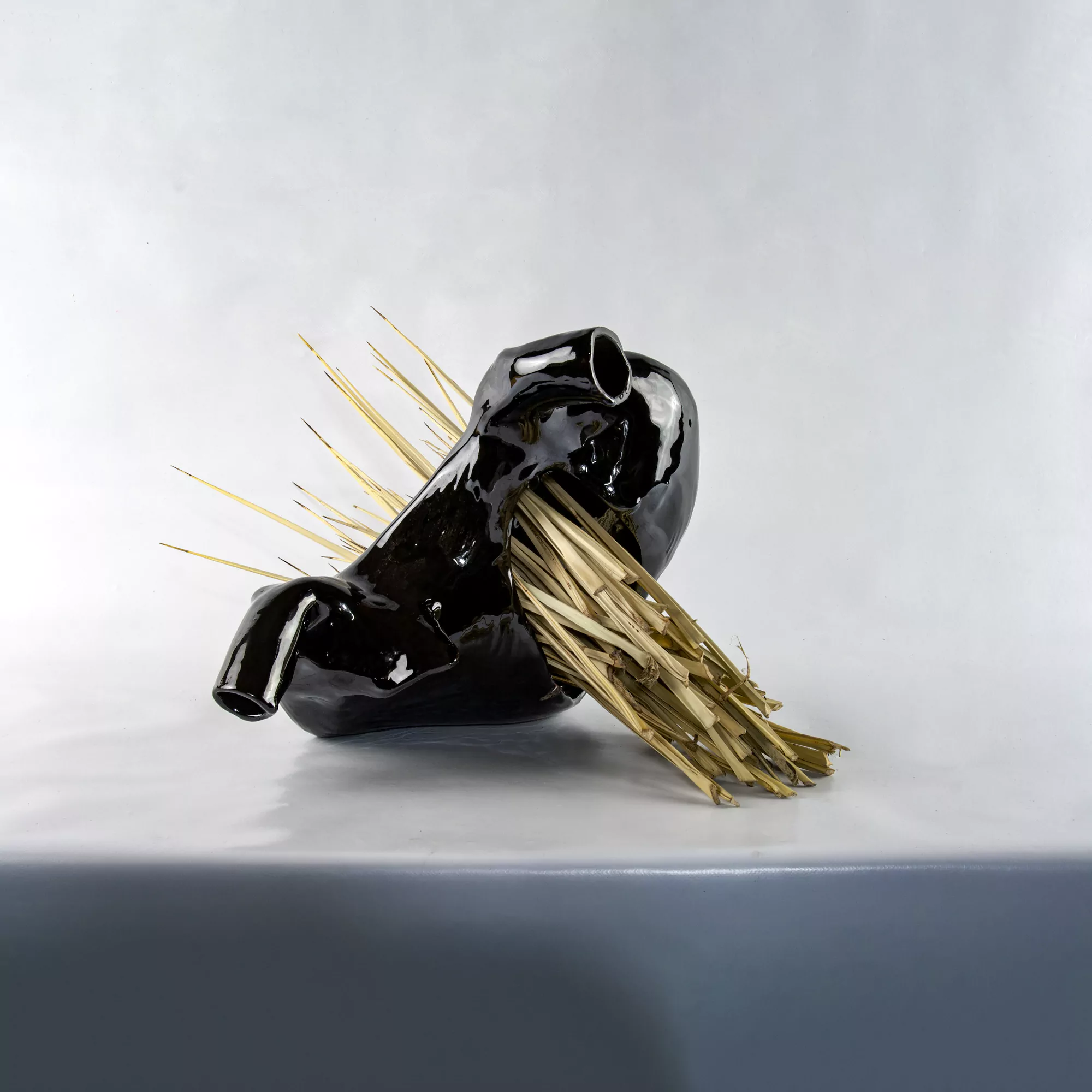 Entrañas negras / Black entrails