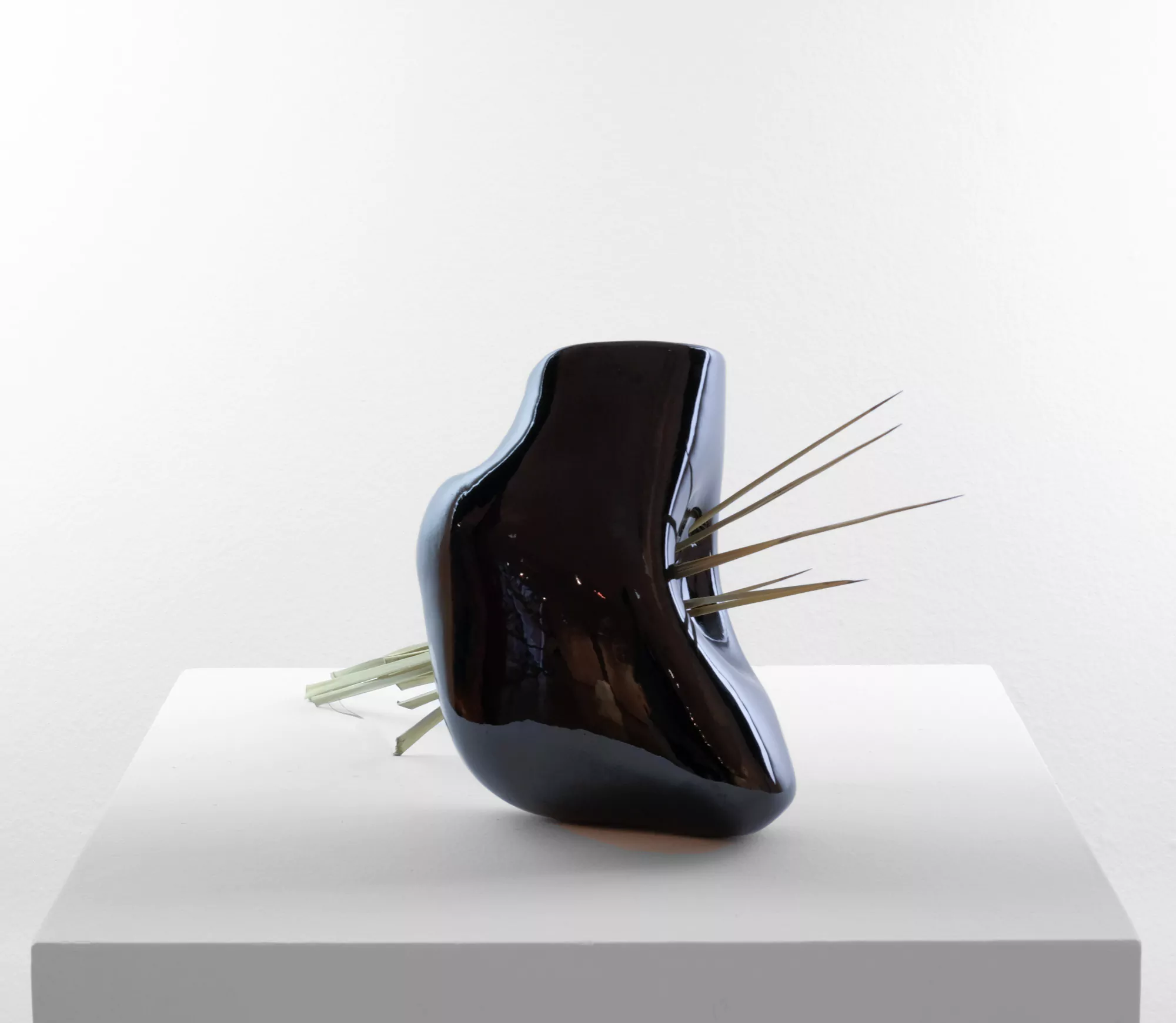 Riñón negro I/  Black kidney I