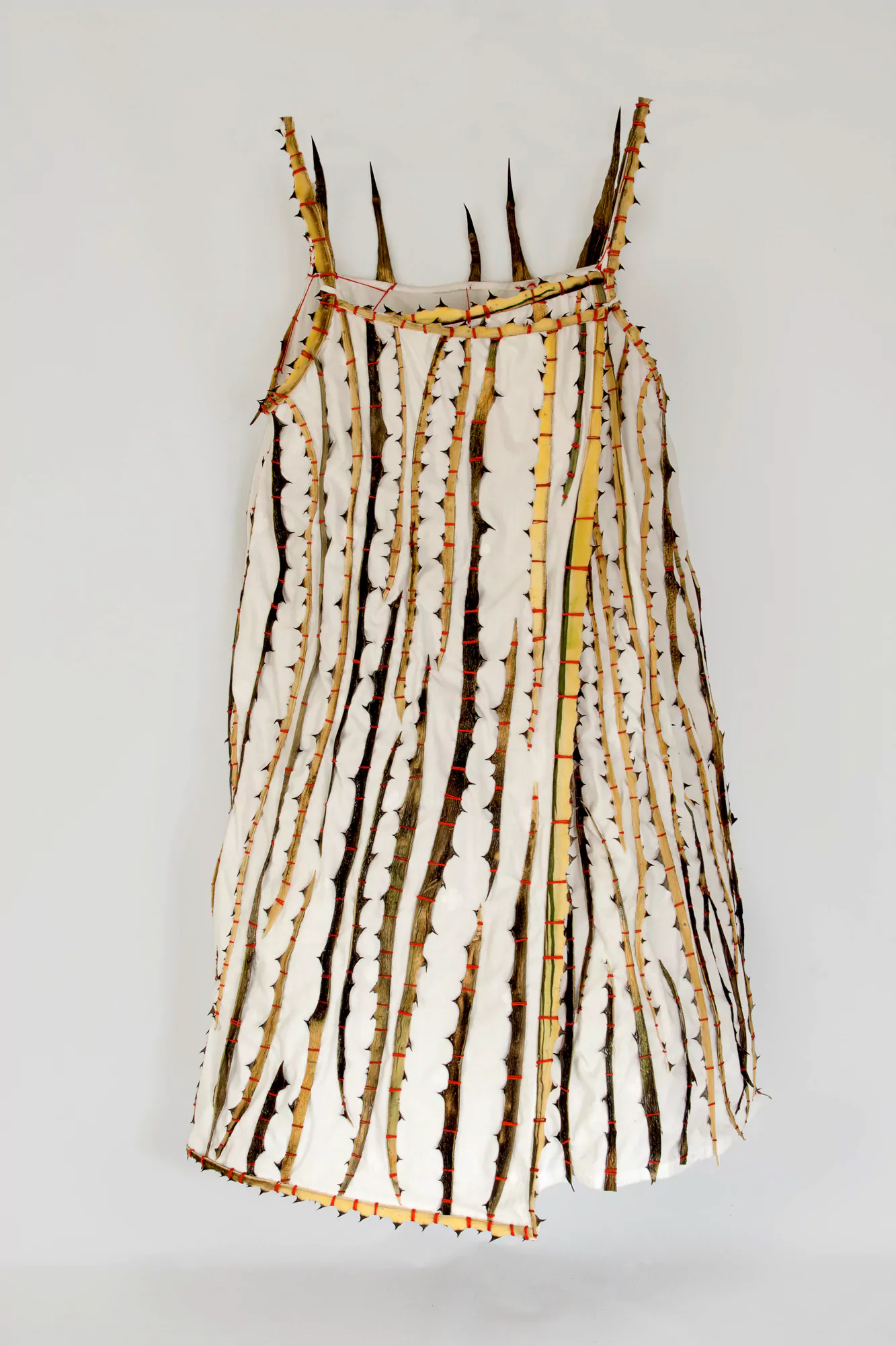 Camisón de espinas II / Nightdress thorns II