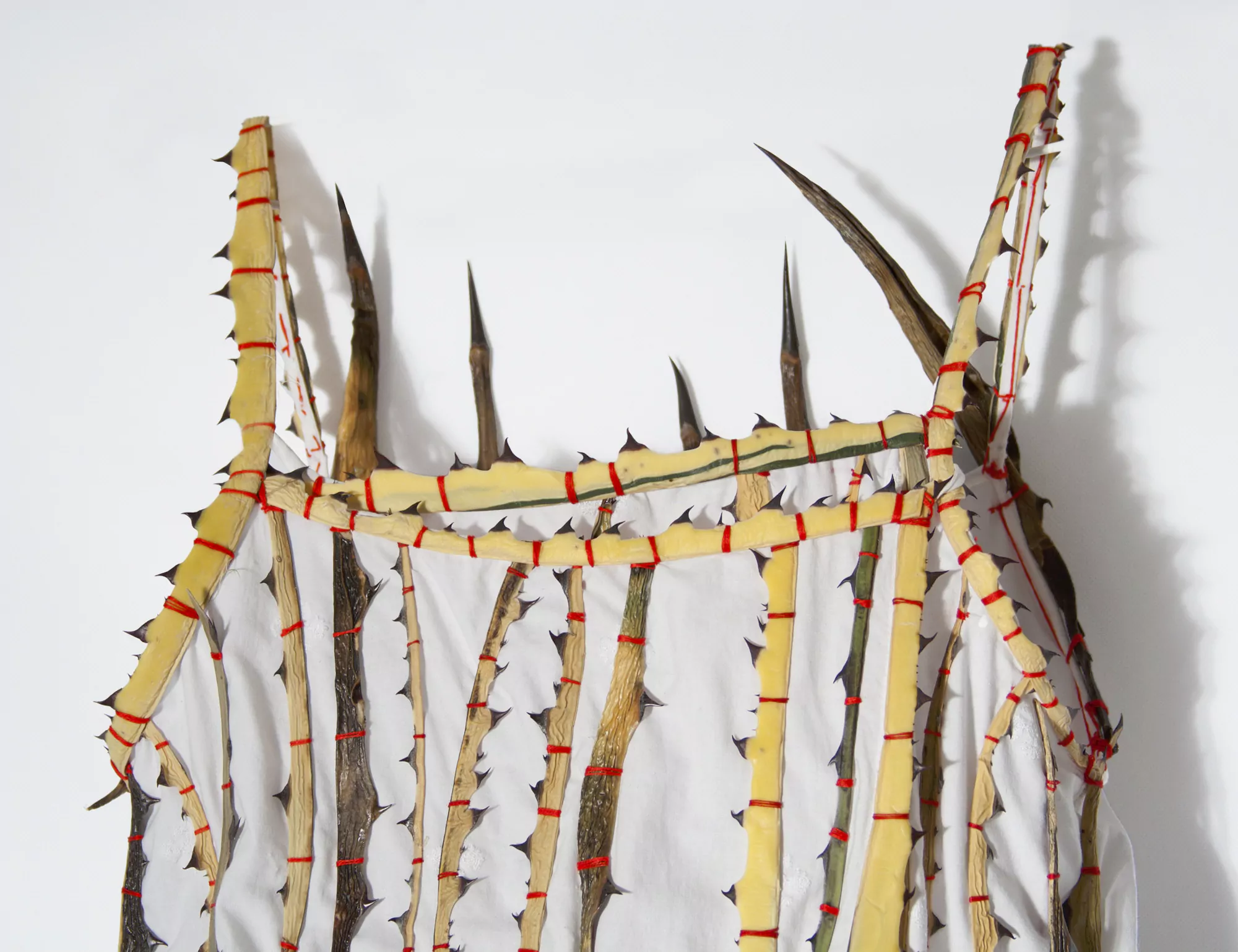 Camisón de espinas II / Nightdress thorns II