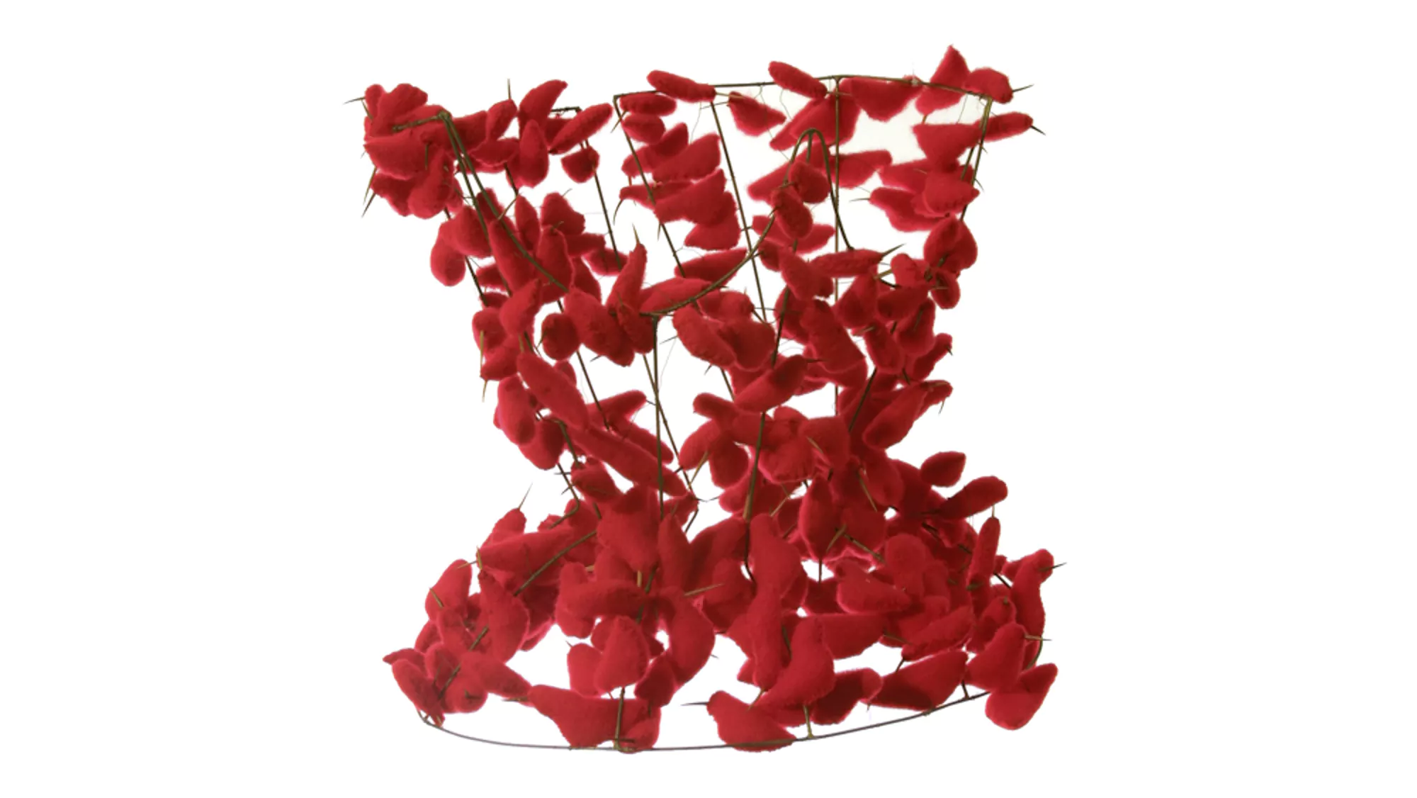 Corsé de colibries / Corset of hummingbirds