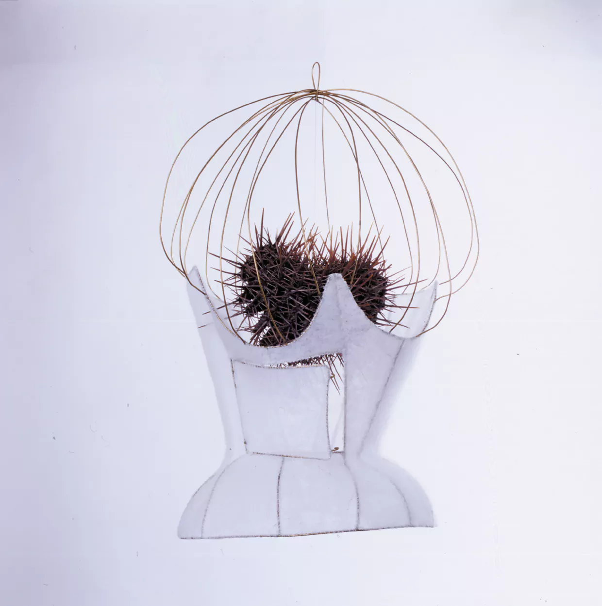 Corsé-jaula / A cage corset