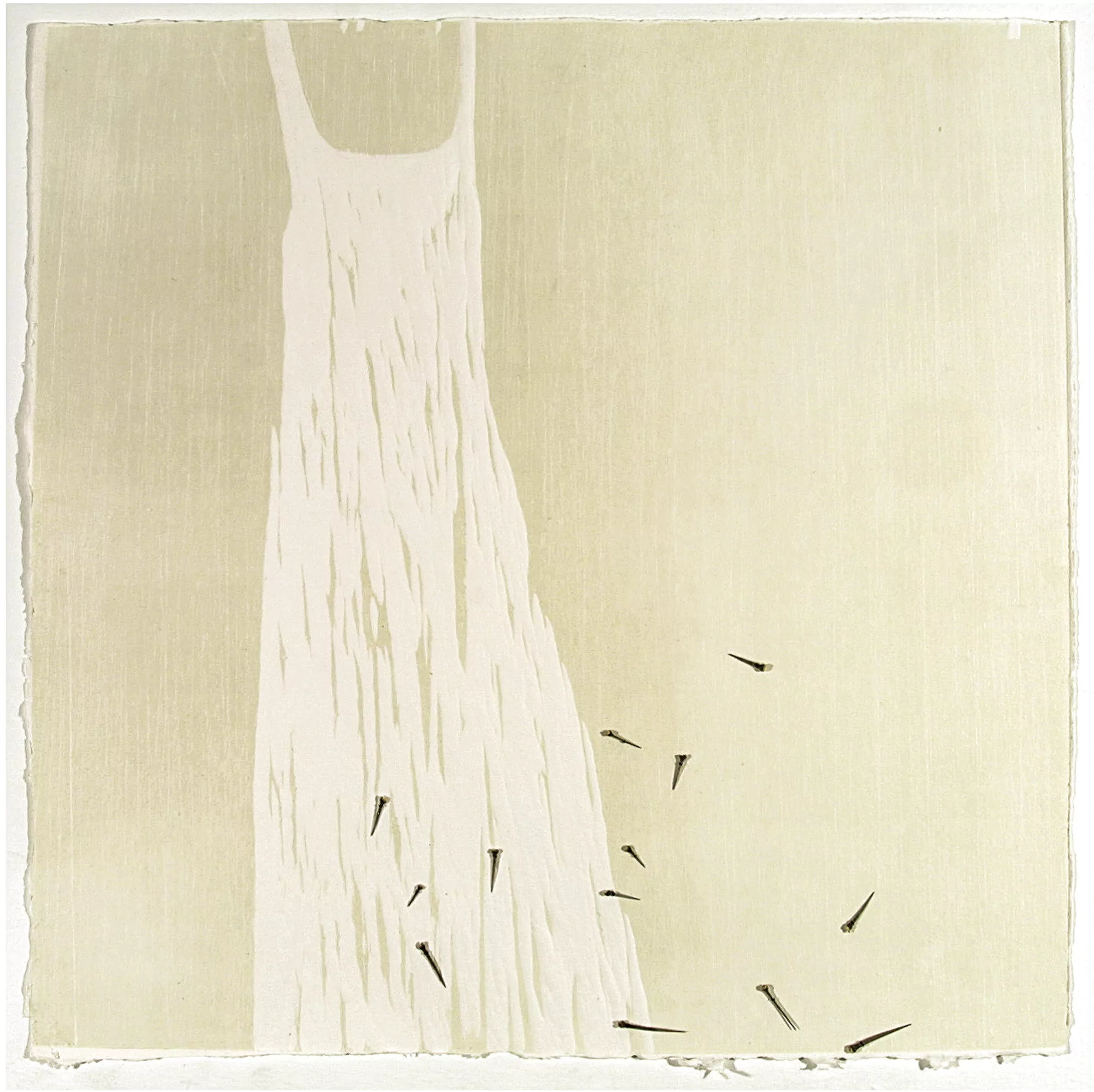 Camisón de luto / Mourning nightdress