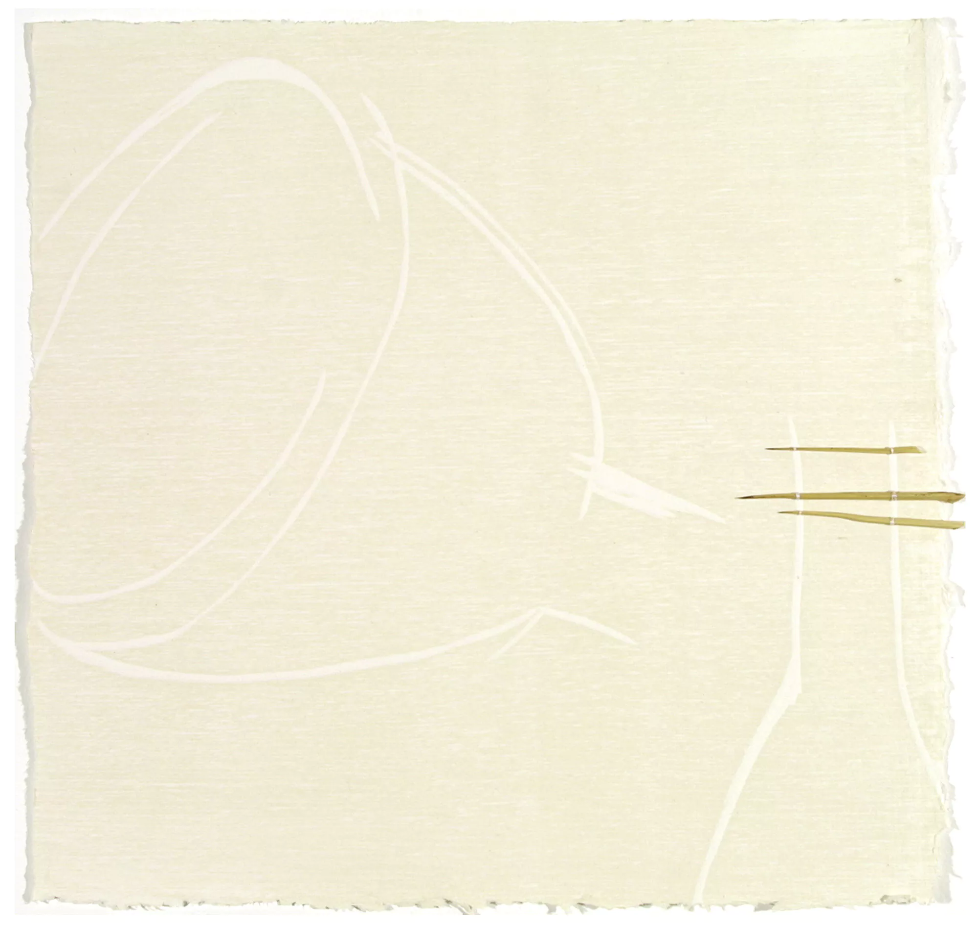 Copa rota / Broken cup