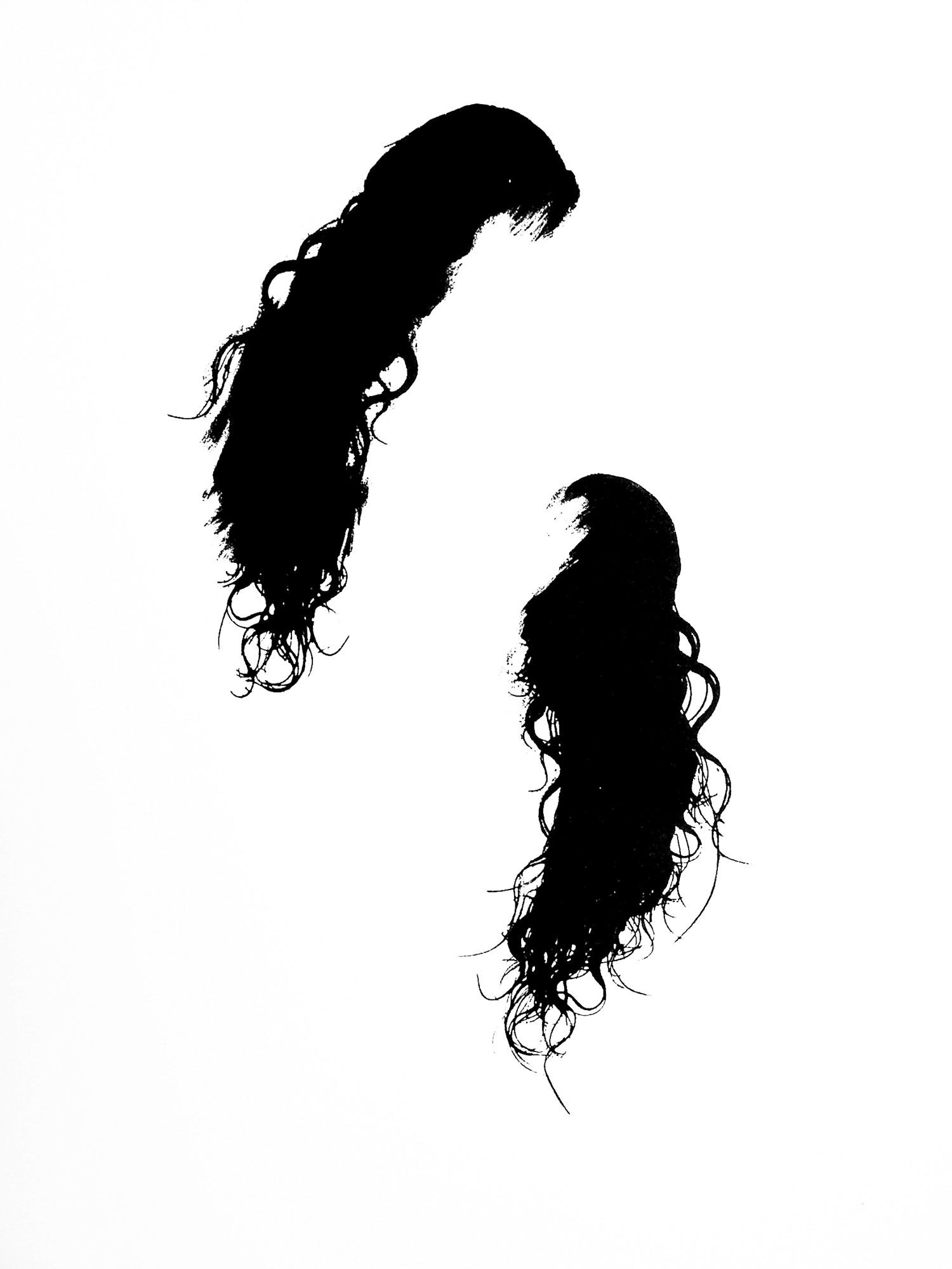 Die STÄRKEE, el vigor de los cabellos / Die STÄRKEE, the vigor of the hair