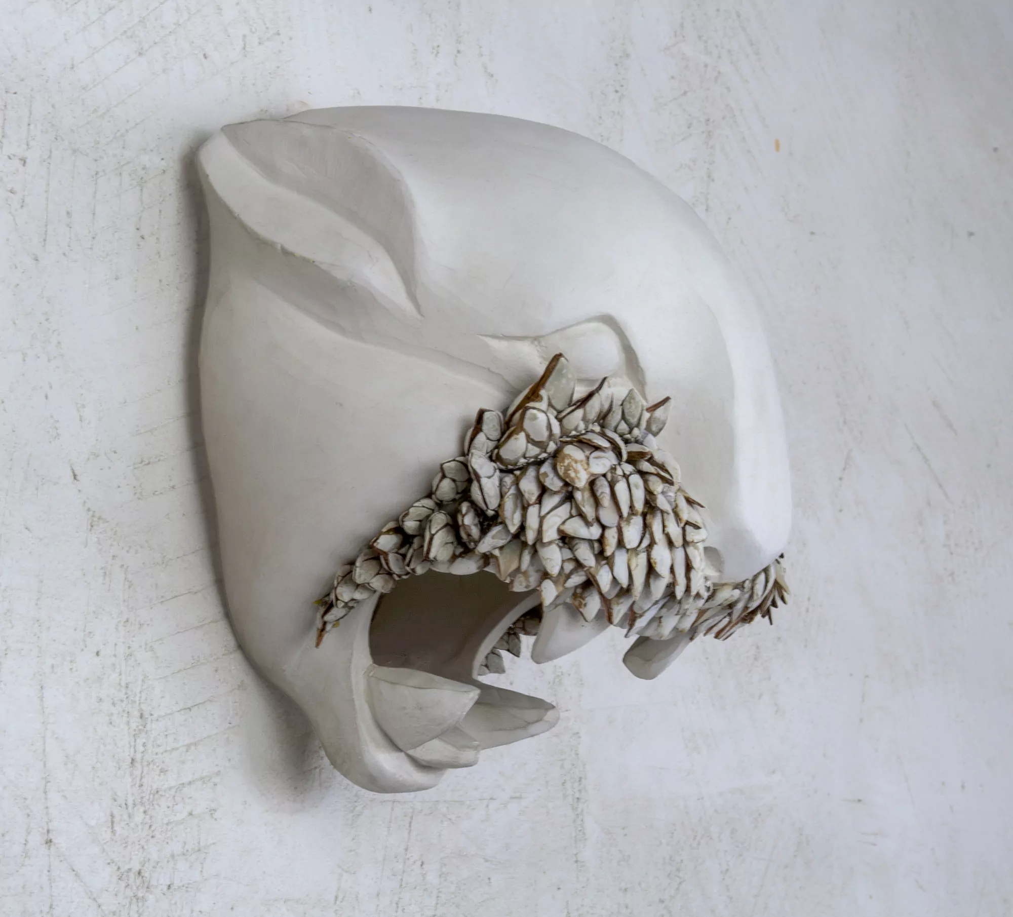 Ofrenda para el león blanco / Sacrifice for the white lion