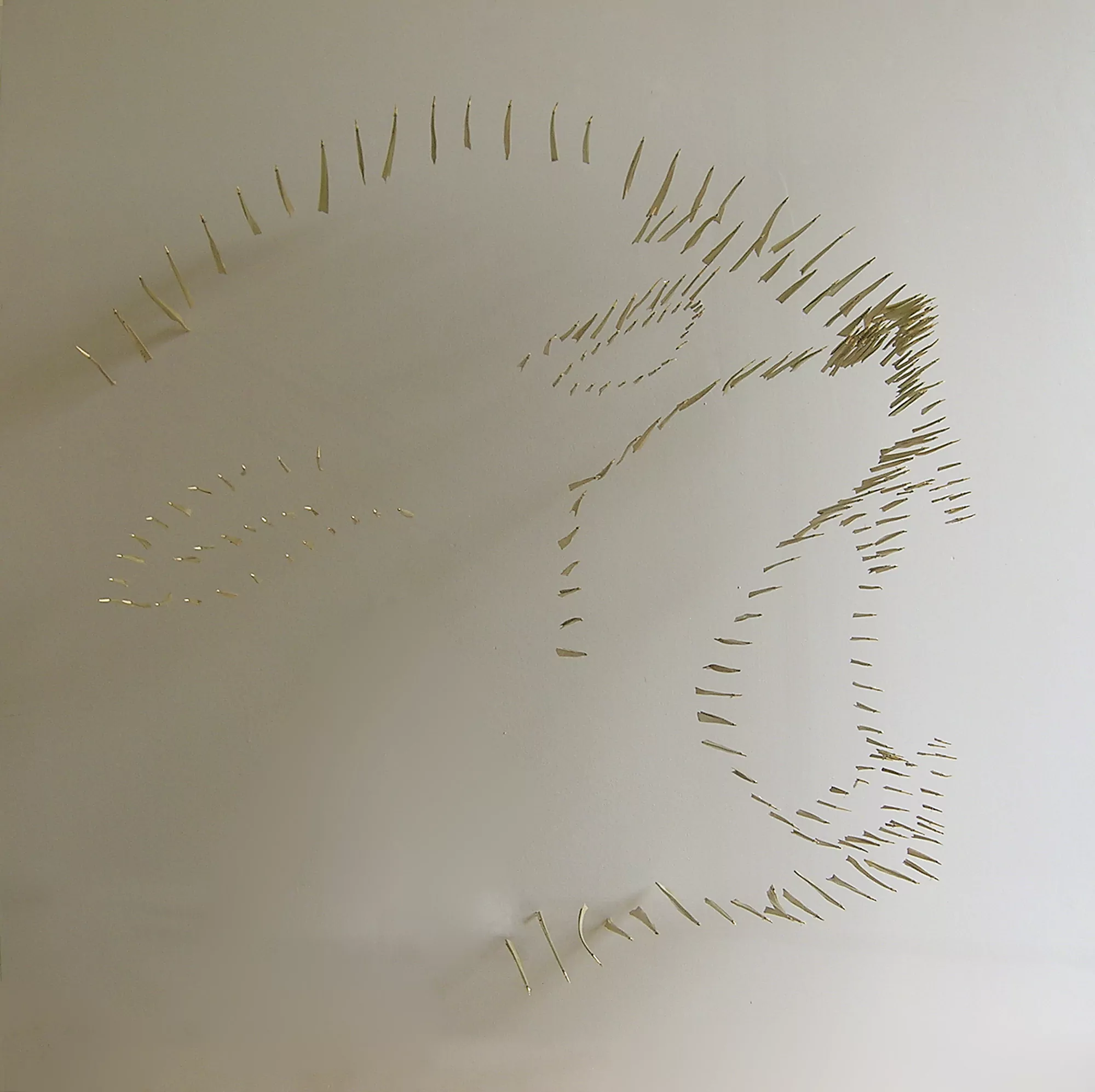 Jaguar-guardián / Jaguar custodian